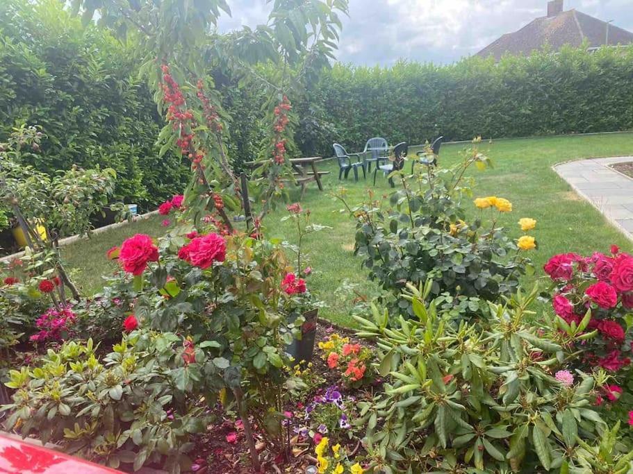 Lovely 1 Bed Studio Apartment With Free Parking Oxford Bagian luar foto