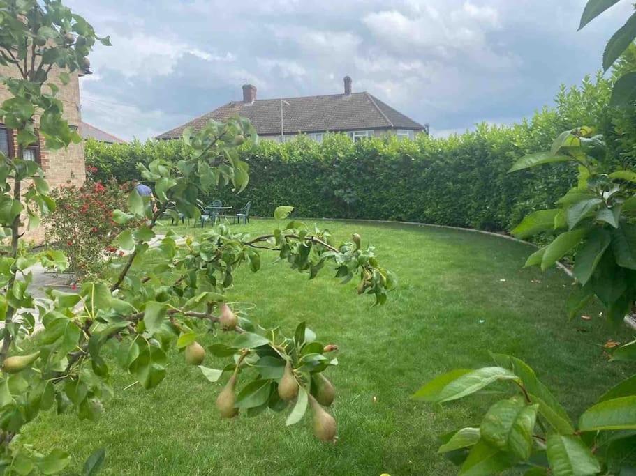 Lovely 1 Bed Studio Apartment With Free Parking Oxford Bagian luar foto